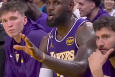 LeBron James Silences Female Fan In Heated Sideline Confrontation—What Happened Next Had Entire Lakers Bench Stunned