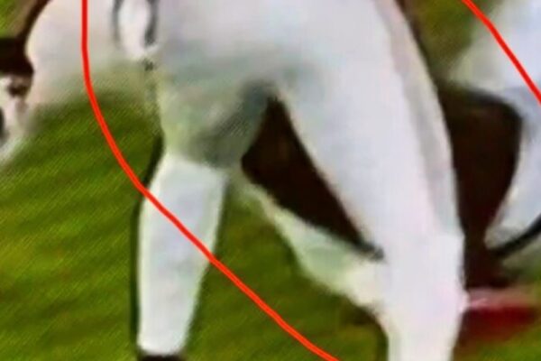 Dramatic Footage Shows Moment Arizona Cardinals Star Player Suffers Se...