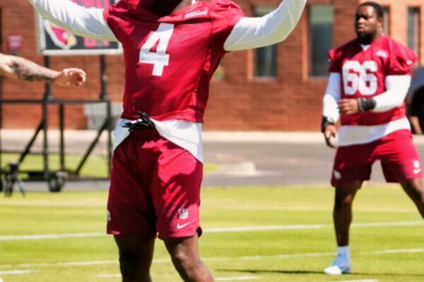 Cardinals Rookie Star’s Season Could Be Over After Serious Injury vs. ...